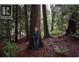 201 Grantville St, Salt Spring, BC V8K1P1 Photo 23