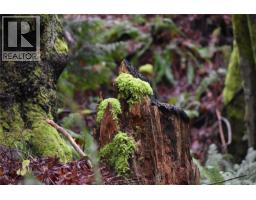 201 Grantville St, Salt Spring, BC V8K1P1 Photo 25