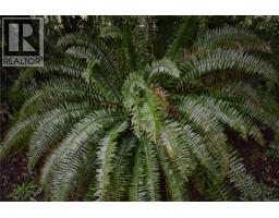 201 Grantville St, Salt Spring, BC V8K1P1 Photo 28