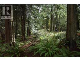 201 Grantville St, Salt Spring, BC V8K1P1 Photo 29
