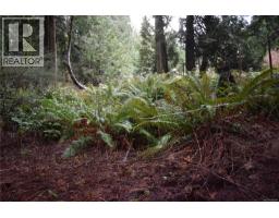 201 Grantville St, Salt Spring, BC V8K1P1 Photo 7