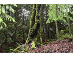 201 Grantville St, Salt Spring, BC V8K1P1 Photo 9
