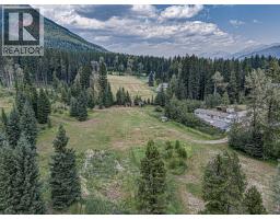 1191 Matevic Road, Sparwood, BC V0B2G1 Photo 25