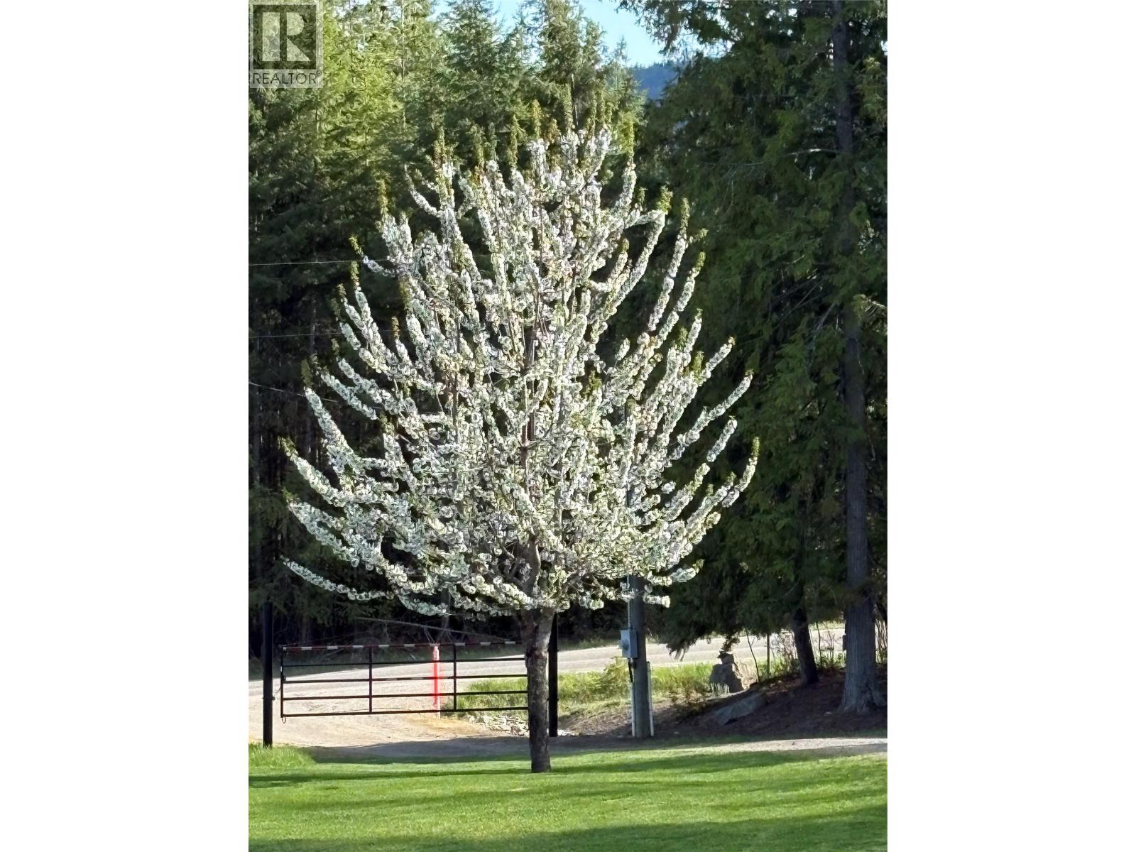 6137 LINE 17 ROAD - 81