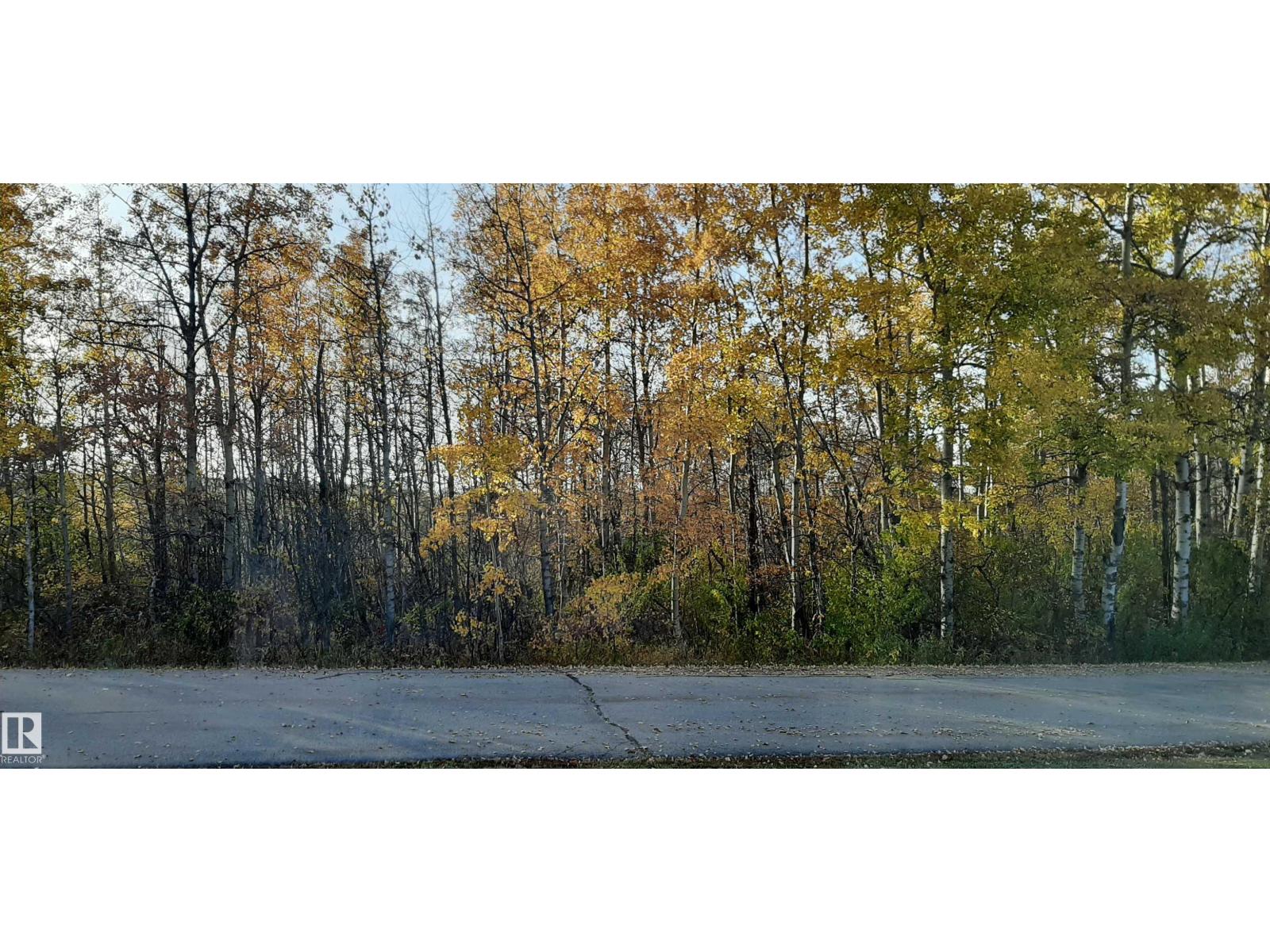 #57 20575 WYE RD, Rural Strathcona County