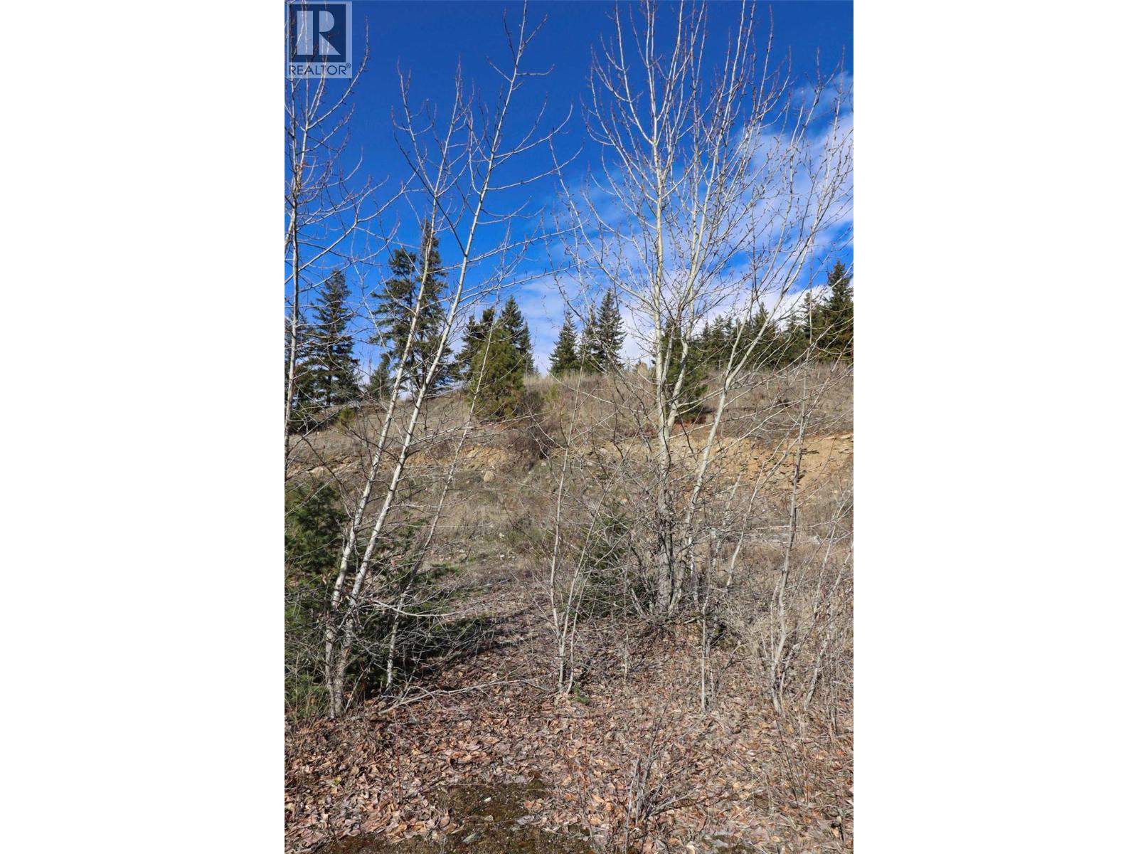 2633 Squilax Anglemont Road Unit# 144, Lee Creek