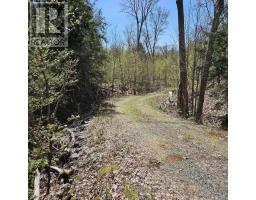 26 Fox Farm Road, Mckellar, ON P0G1C0 Photo 18