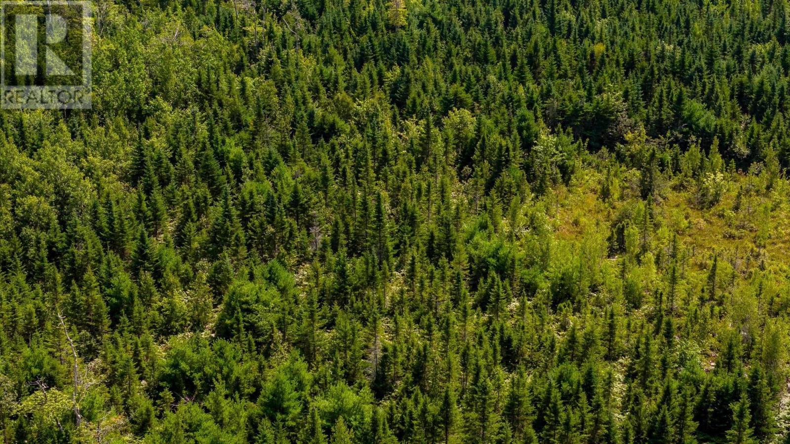 Property 13 of 15 of Lot 2 Aylesford Road