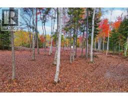 Lot 04-02 690 Route, Flowers Cove, NB O0O0O0 Photo 10
