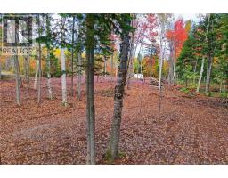 Lot 04-02 690 Route, Flowers Cove, NB O0O0O0 Photo 11