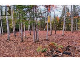 Lot 04-02 690 Route, Flowers Cove, NB O0O0O0 Photo 12