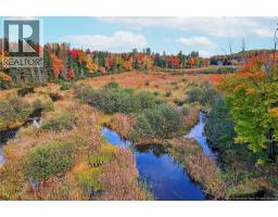 Lot 04-02 690 Route, Flowers Cove, NB O0O0O0 Photo 19