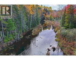 Lot 04-02 690 Route, Flowers Cove, NB O0O0O0 Photo 20