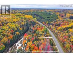 Lot 04-02 690 Route, Flowers Cove, NB O0O0O0 Photo 6
