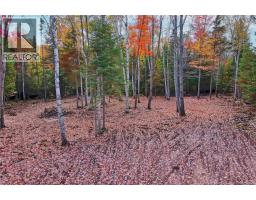 Lot 04-02 690 Route, Flowers Cove, NB O0O0O0 Photo 8