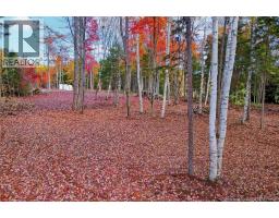 Lot 04-02 690 Route, Flowers Cove, NB O0O0O0 Photo 9