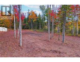 Lot 04-03 690 Route, Flowers Cove, NB O0O0O0 Photo 10