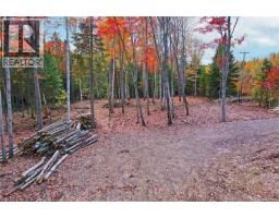 Lot 04-03 690 Route, Flowers Cove, NB O0O0O0 Photo 11