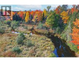 Lot 04-03 690 Route, Flowers Cove, NB O0O0O0 Photo 13