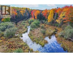 Lot 04-03 690 Route, Flowers Cove, NB O0O0O0 Photo 14