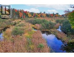 Lot 04-03 690 Route, Flowers Cove, NB O0O0O0 Photo 19