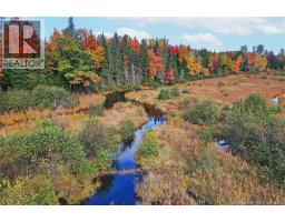 Lot 04-03 690 Route, Flowers Cove, NB O0O0O0 Photo 20