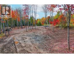 Lot 04-03 690 Route, Flowers Cove, NB O0O0O0 Photo 8