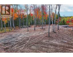 Lot 04-03 690 Route, Flowers Cove, NB O0O0O0 Photo 9