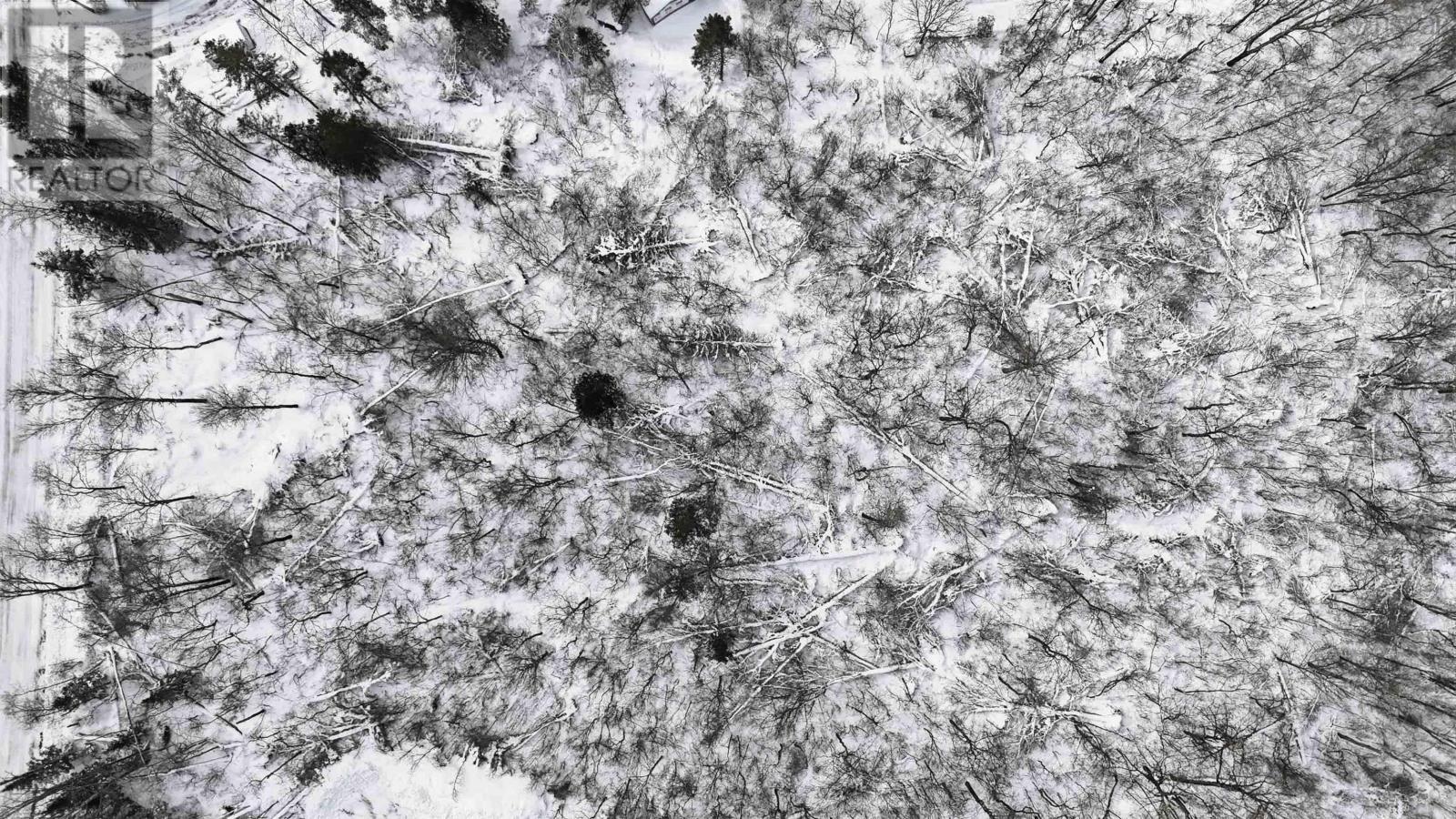 Property 10 of 17 of 7B William McCulloch Road