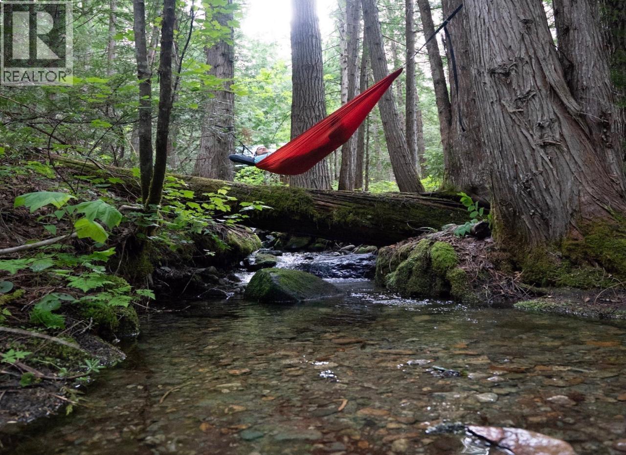 6225 PORTO RICO YMIR Road, Ymir