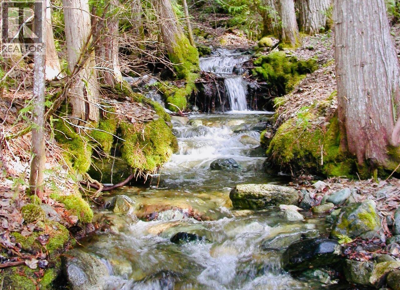 6225 PORTO RICO YMIR Road, Ymir