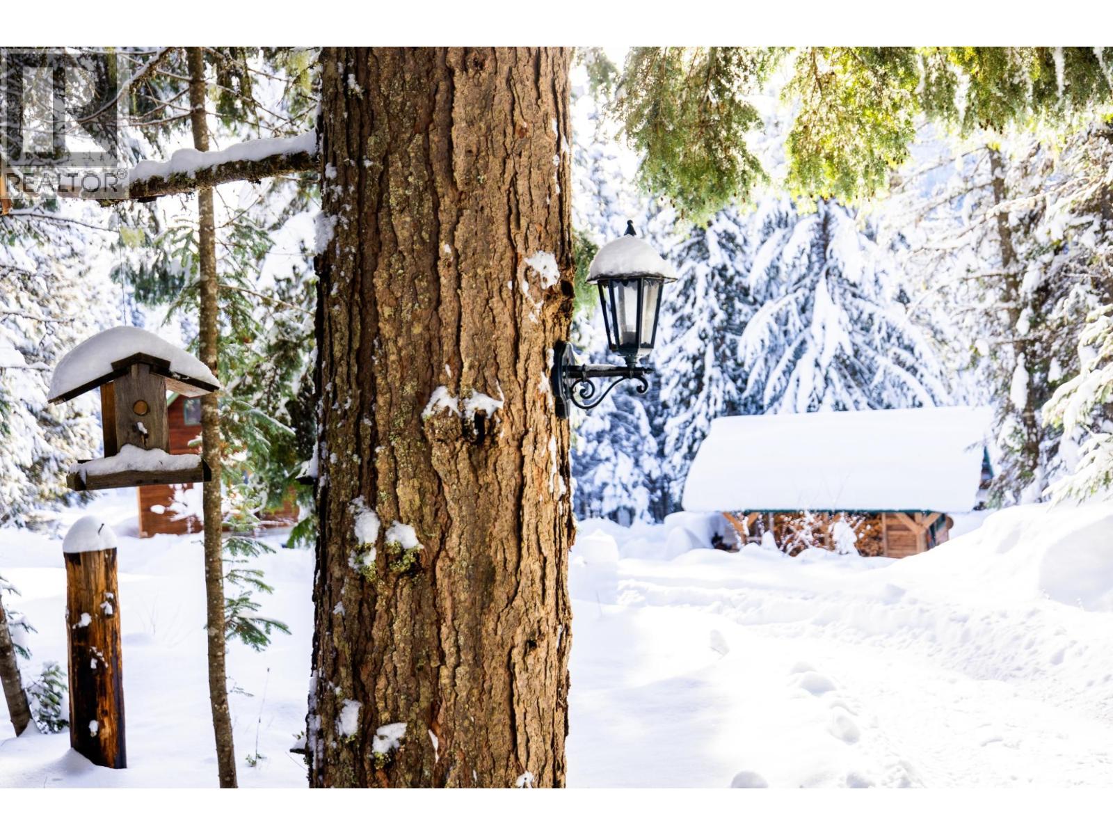 6225 PORTO RICO YMIR Road, Ymir