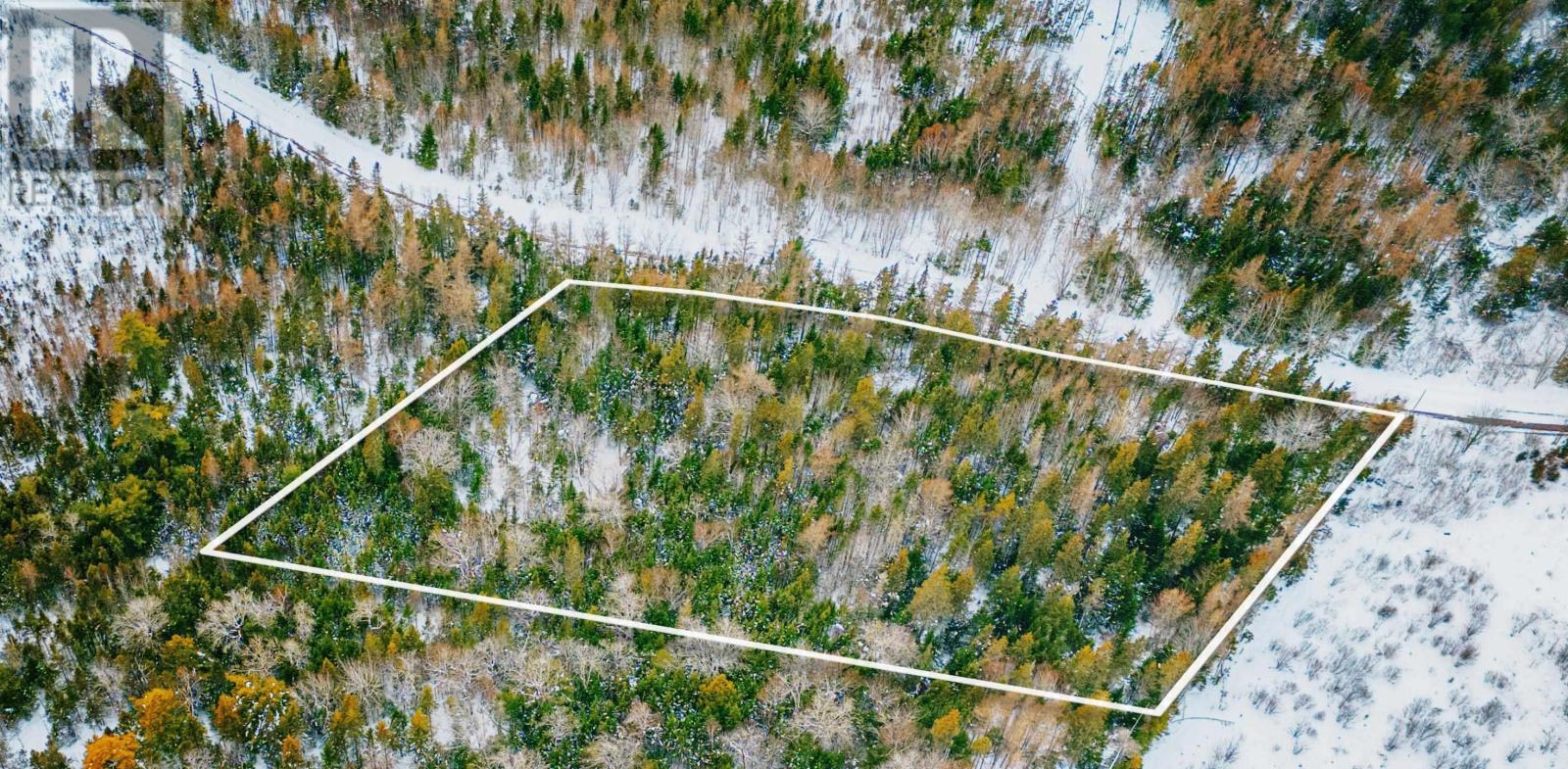 Property 5 of 13 of Cameron Road