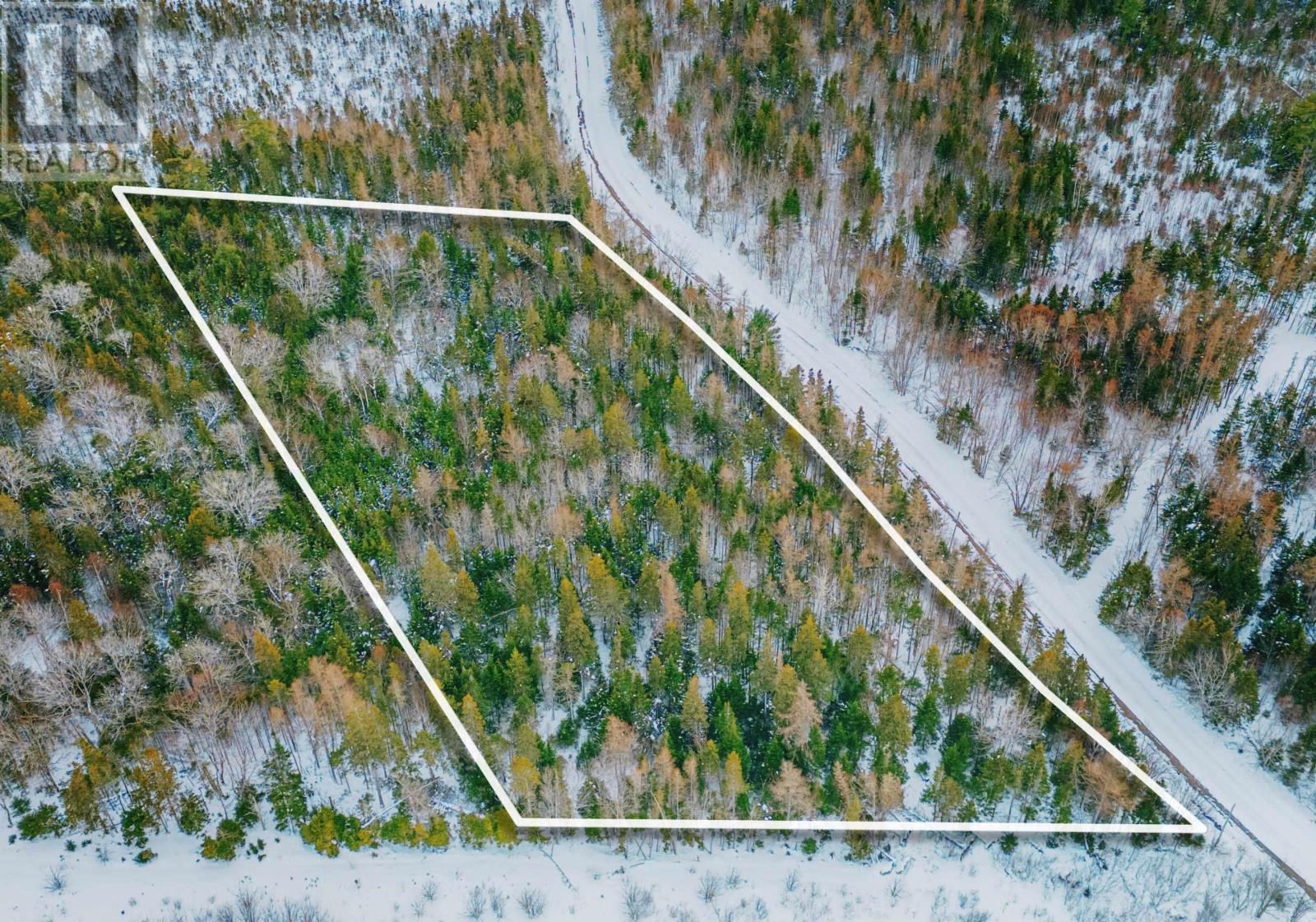 Property 4 of 13 of Cameron Road