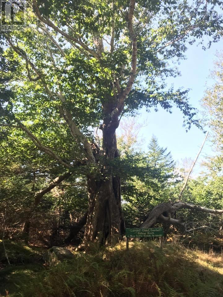 Property 25 of 33 of Lot McNutts Island Road