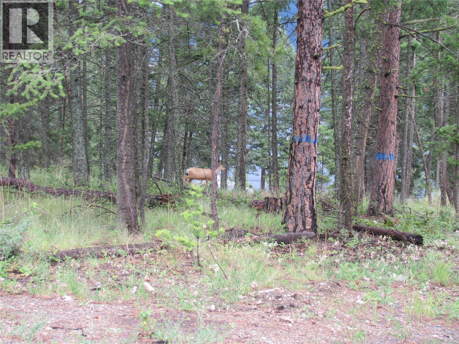  680 Fairbridge Road, Fintry