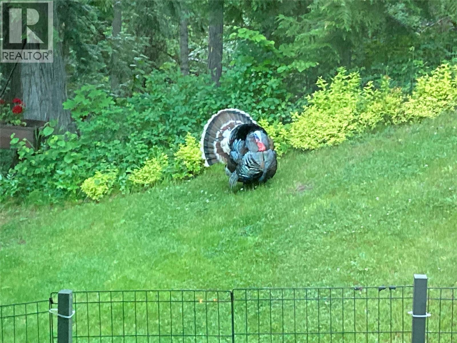 2162 Old Salmo Road, Fruitvale