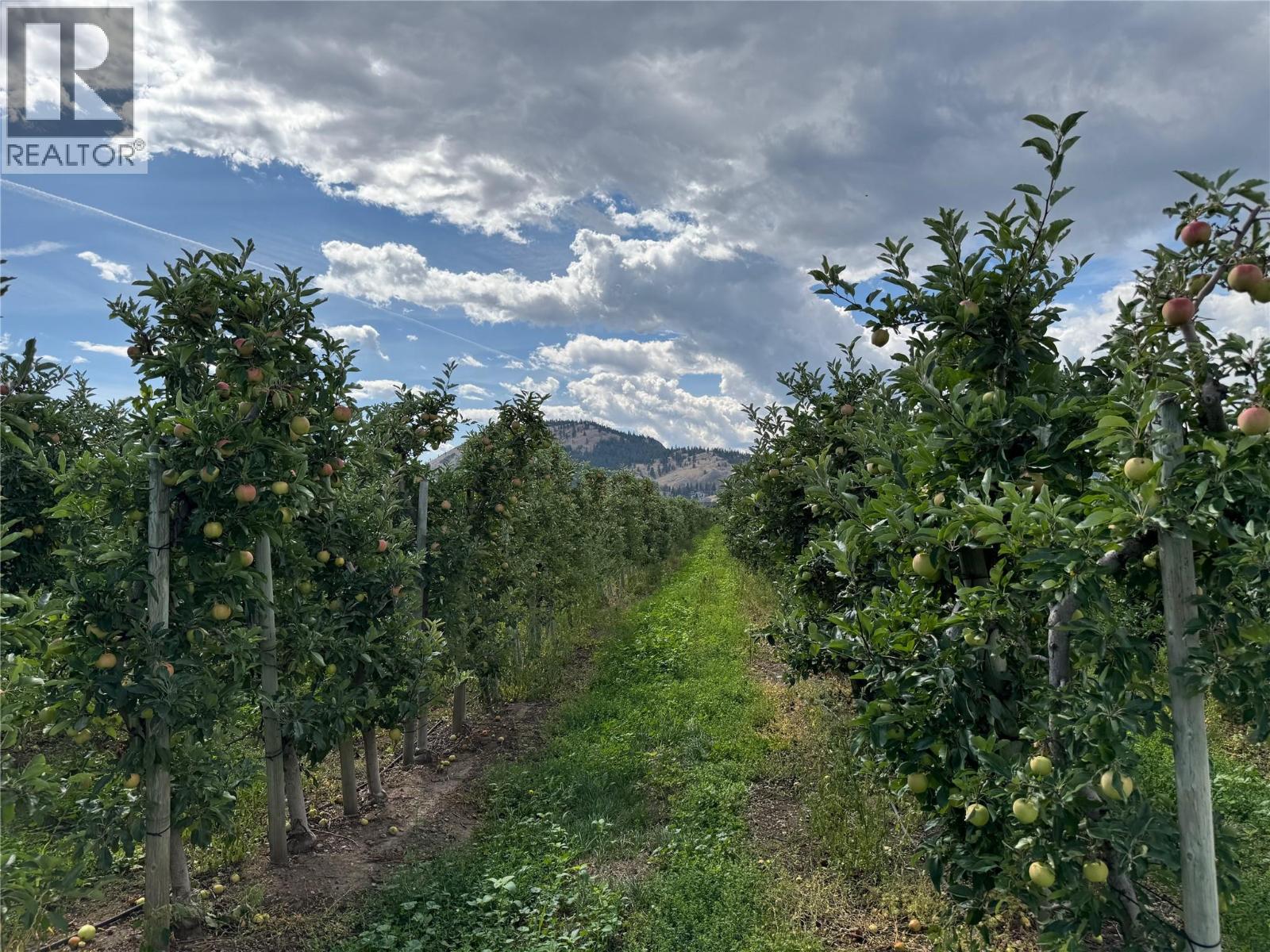 9105 Jones Flat Road, Summerland