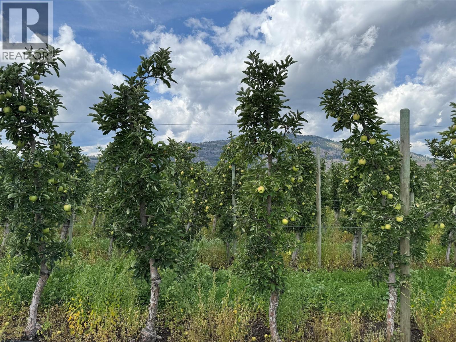 15812 Logie Road, Summerland