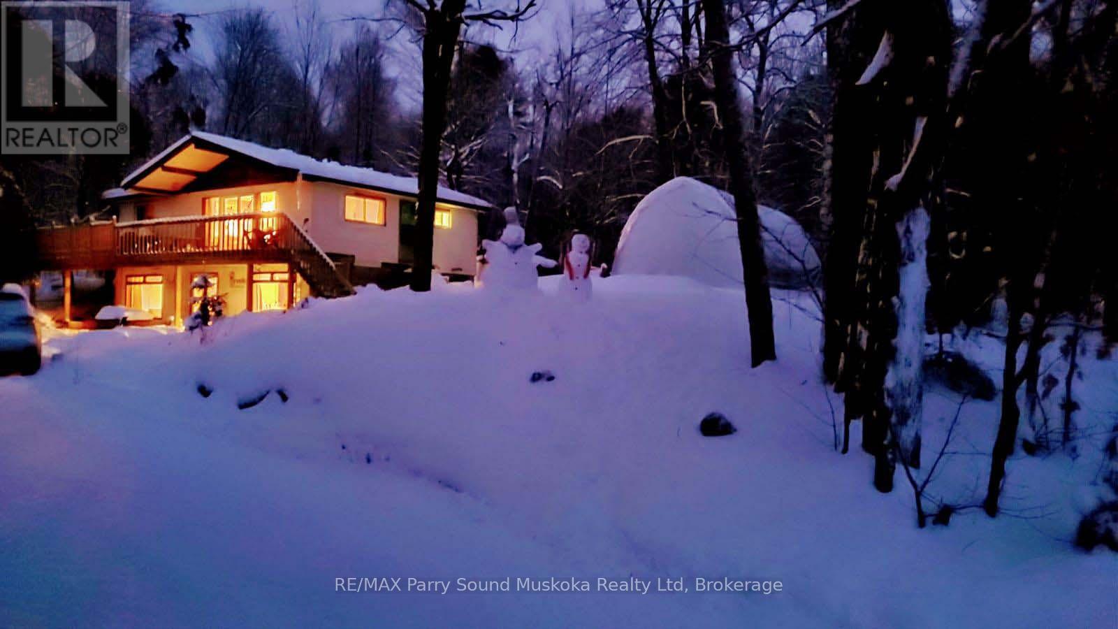 Winter wonderland