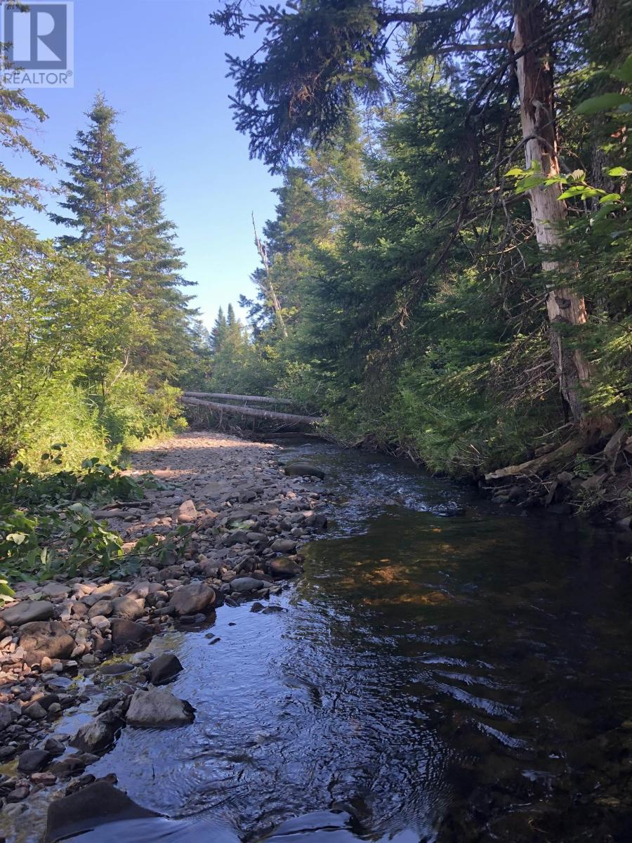 Property 49 of 51 of 1625 Station Road