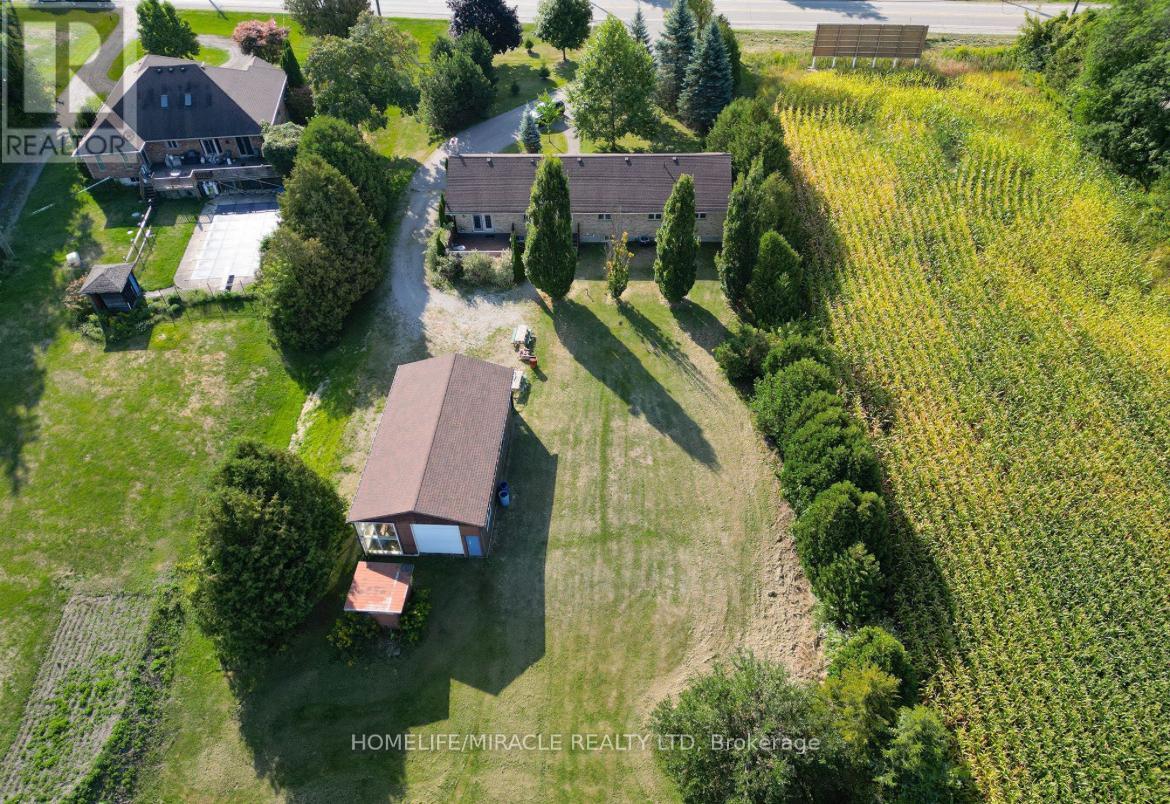 385 MOUNT PLEASANT ROAD - 3