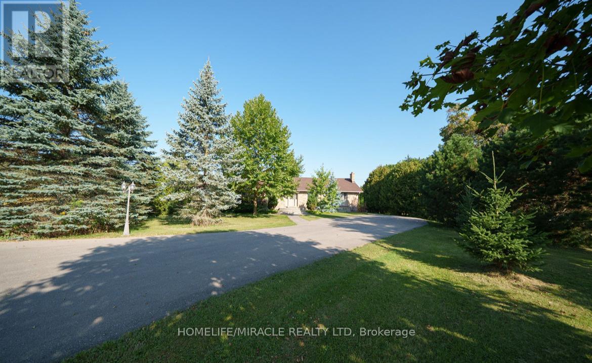 385 MOUNT PLEASANT ROAD - 2