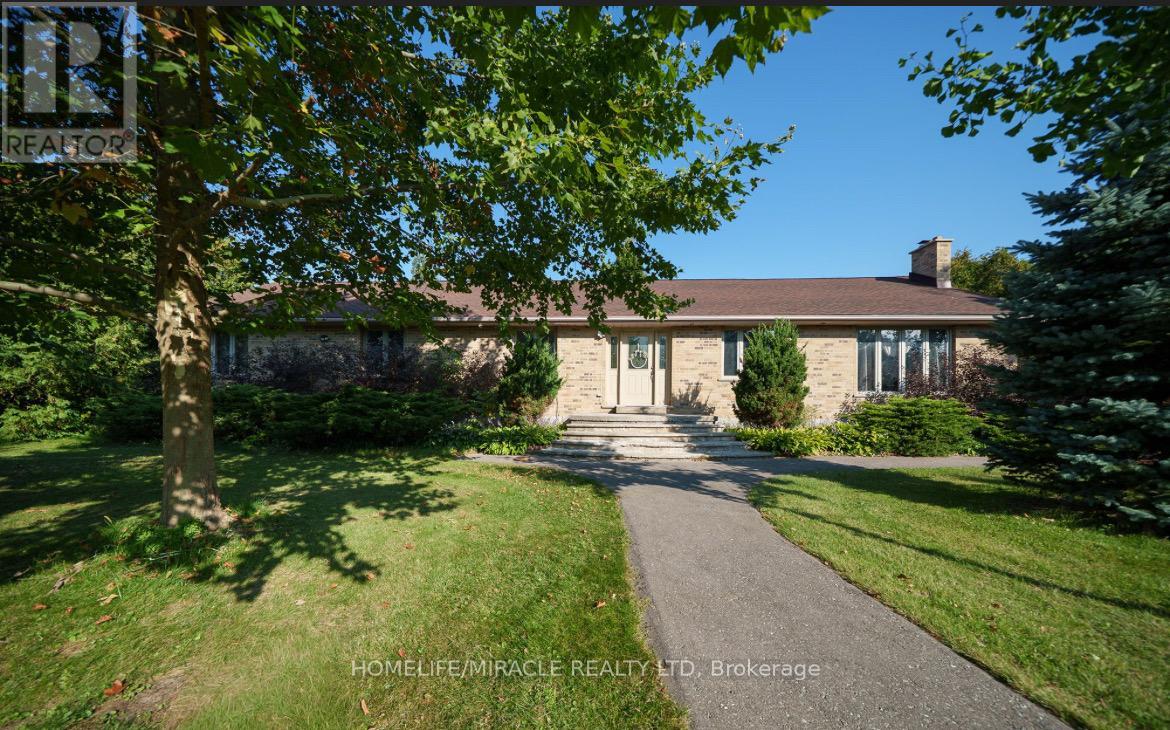 385 MOUNT PLEASANT ROAD - 4