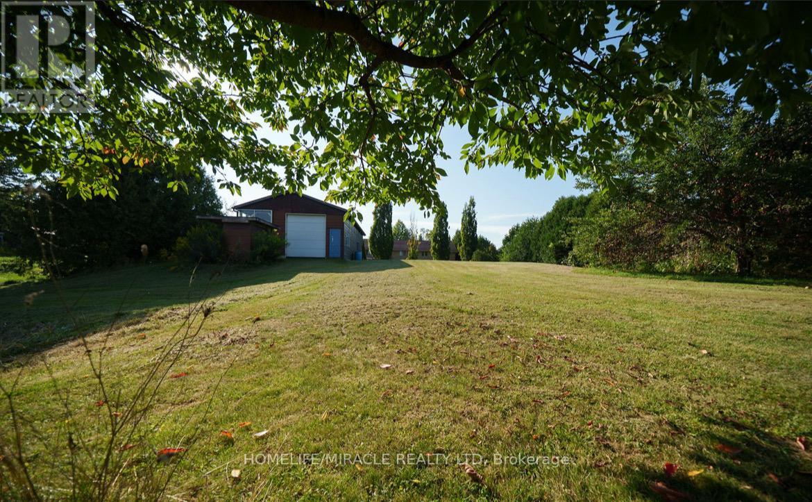 385 MOUNT PLEASANT ROAD - 30