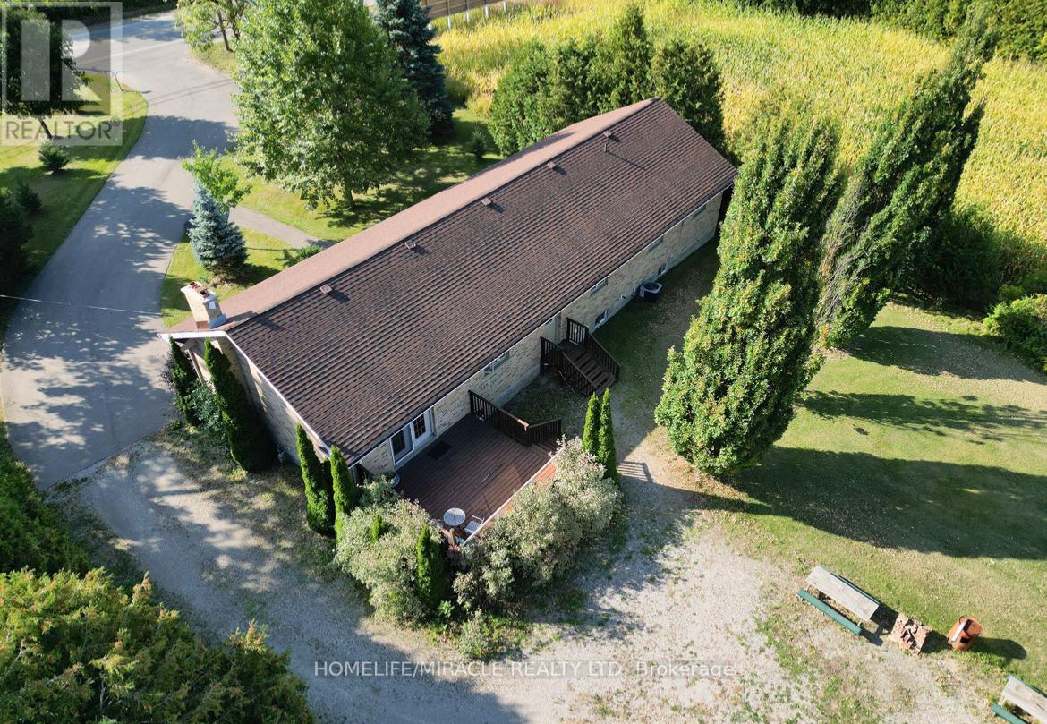 385 MOUNT PLEASANT ROAD - 1