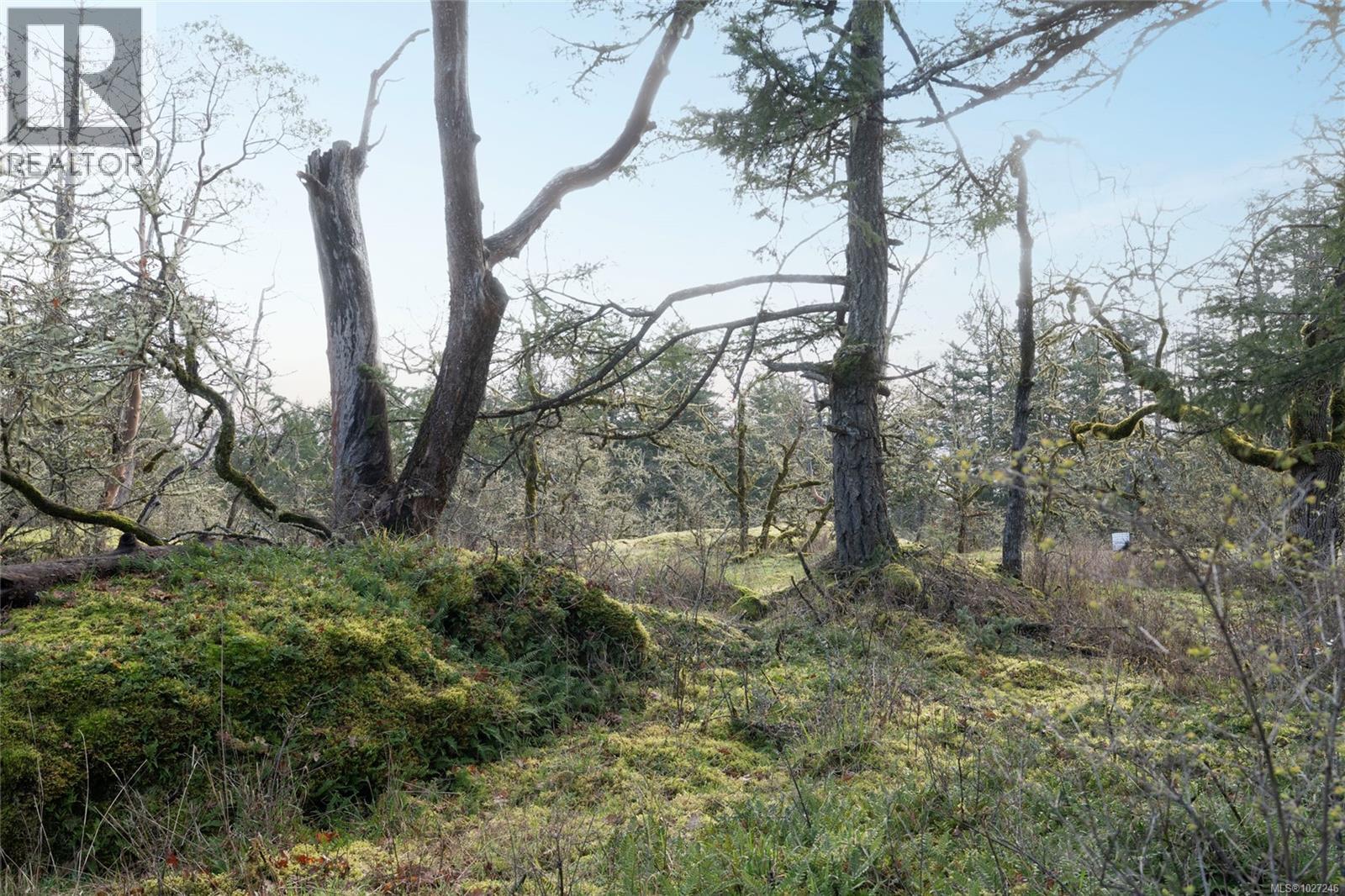 1018 Elstree Close, Central Saanich