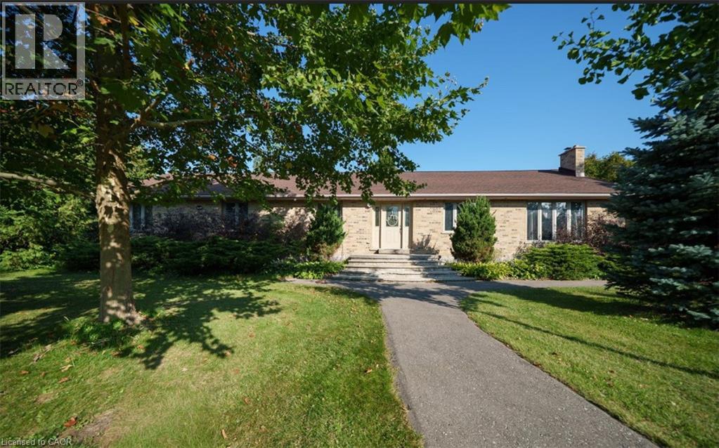 385 MOUNT PLEASANT ROAD - 3