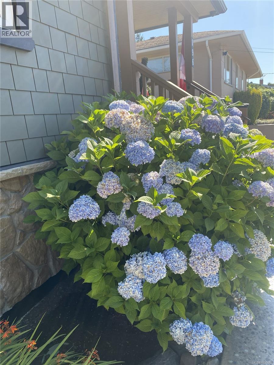  196 Homer Road, Saanich