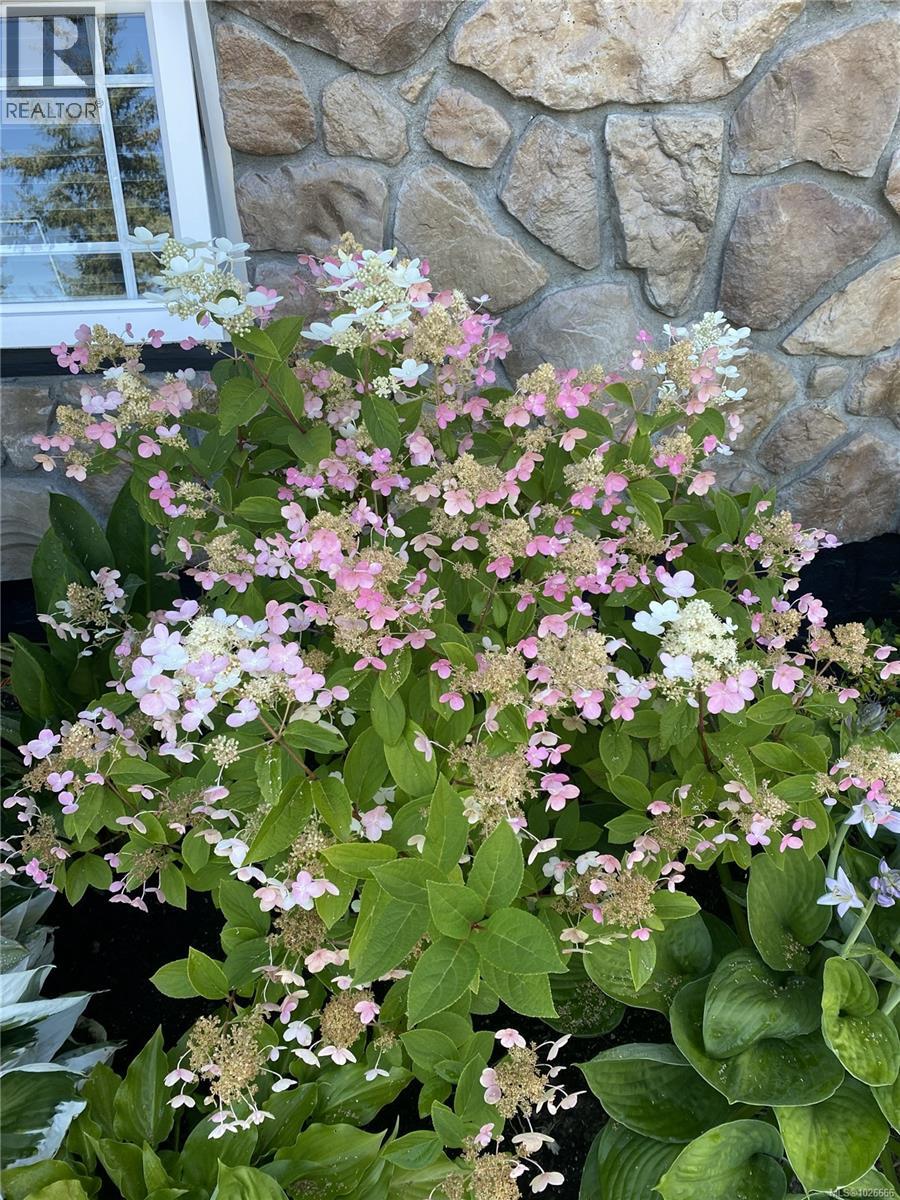  196 Homer Road, Saanich